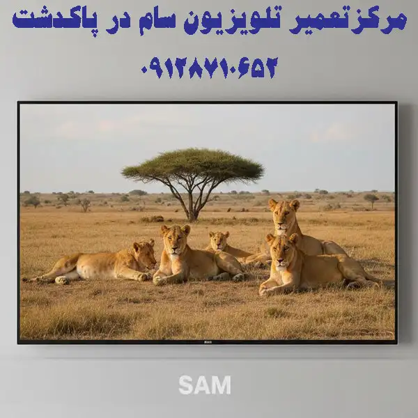 مرکز تعمیر تلویزیون سام در پاکدشت