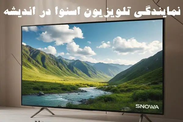 نمایندگی تلویزیون اسنوا در اندیشه