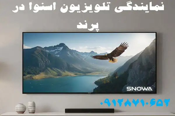 نمایندگی تلویزیون اسنوا در پرند